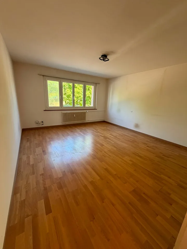 Bright 3-room apartment in a quiet location in Langenthal