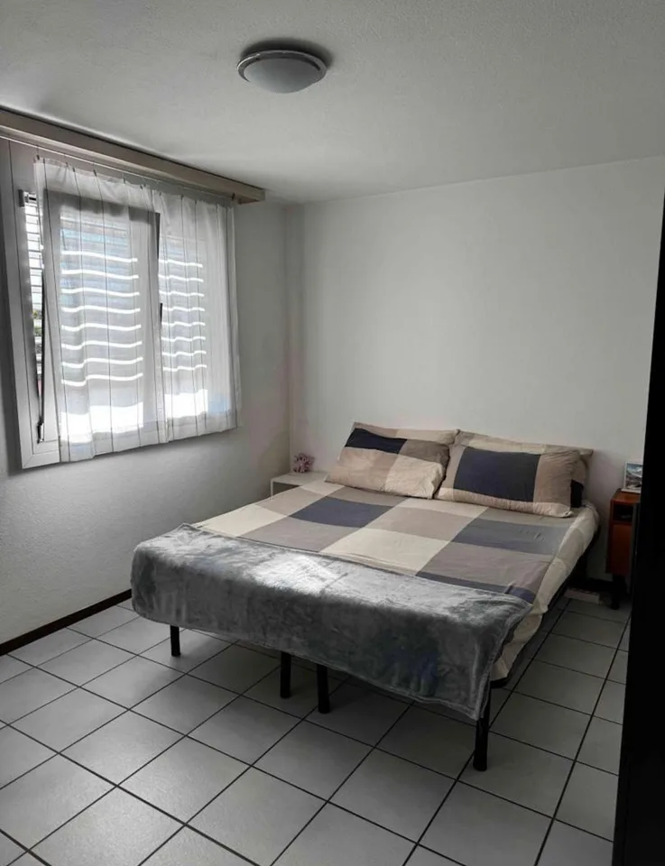 Gemütliches Einzimmerapartment in Castione