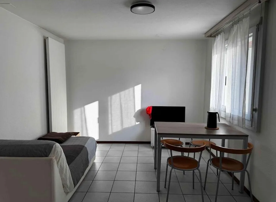 Gemütliches Einzimmerapartment in Castione