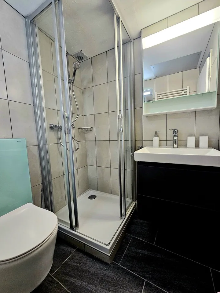 Charmantes 1.5-Zimmer-Wohnung renoviert in Sierre