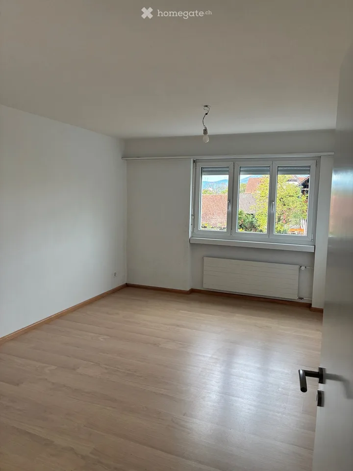 Bello appartamento 3.5 locali in affitto