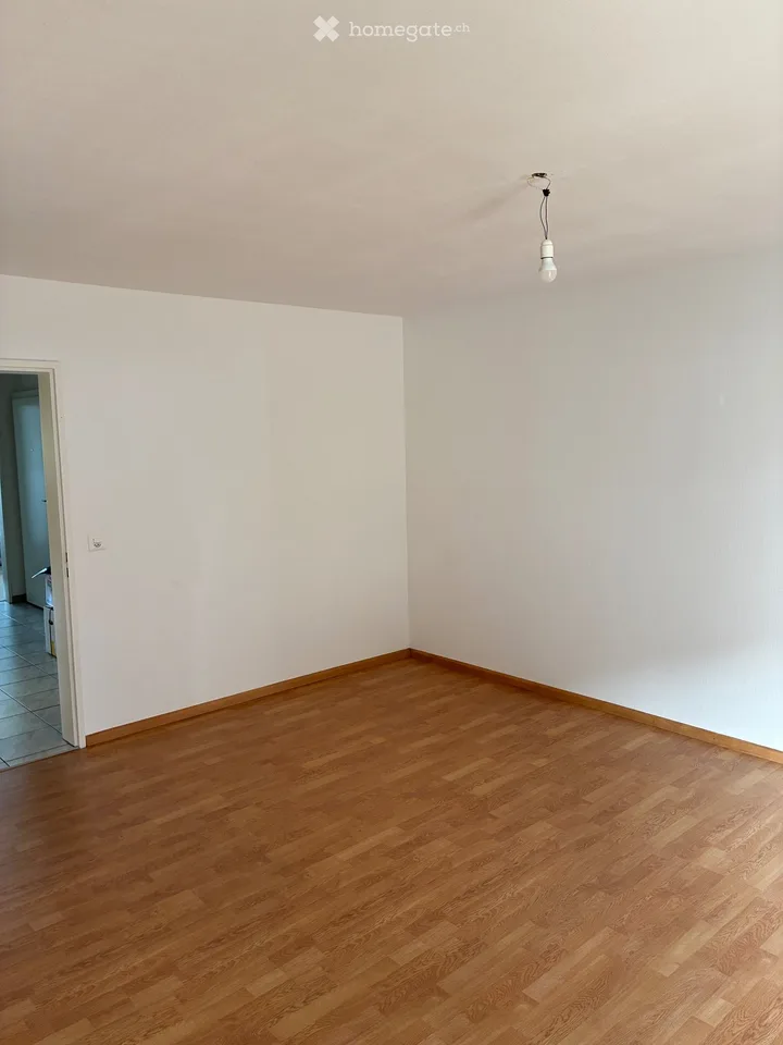 Bello appartamento 3.5 locali in affitto