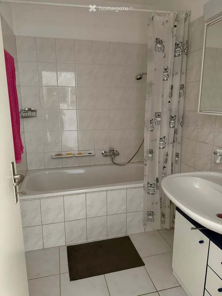 Appartement spacieux et lumineux de 3,5 pièces à Zufikon