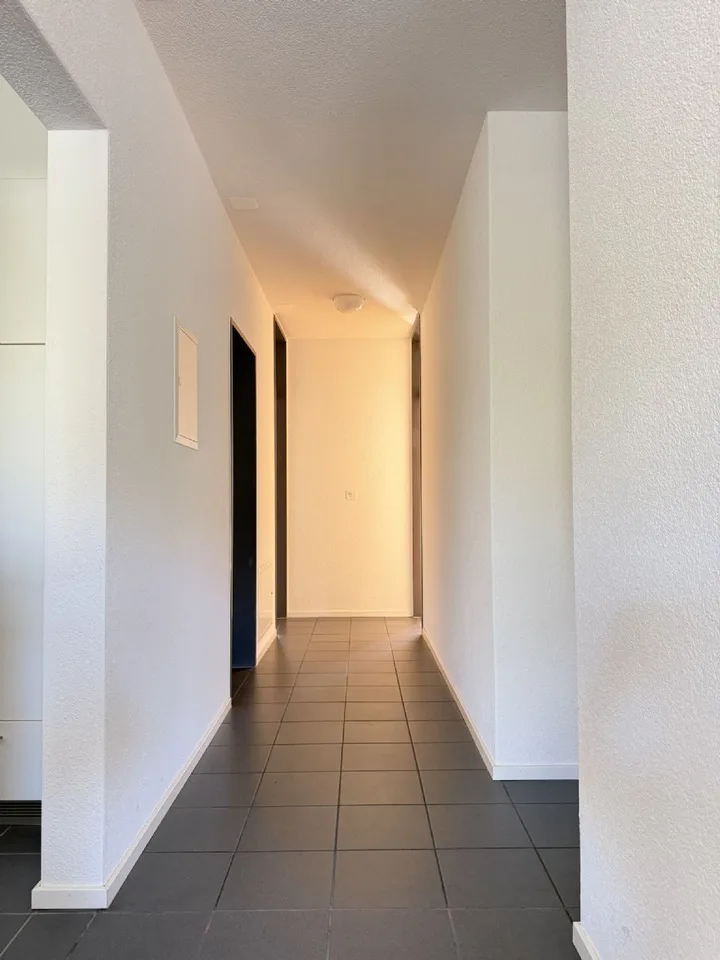 Charming living in the heart of Olten!