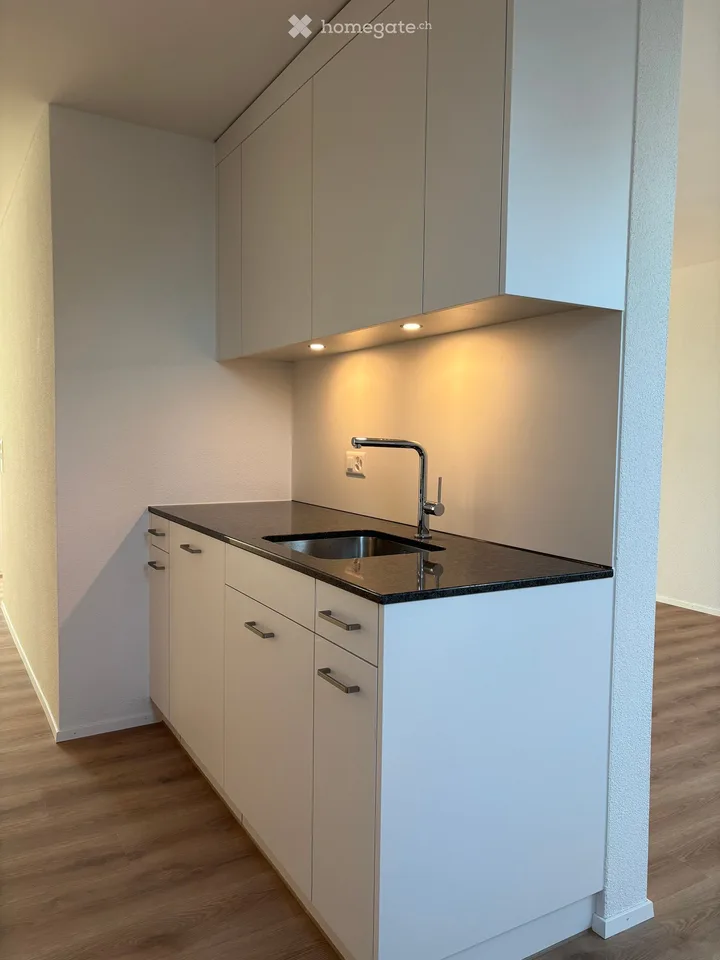 Charmante 3.5-Zimmer-Dachwohnung in Wädenswil – modern renoviert und sonnig gelegen