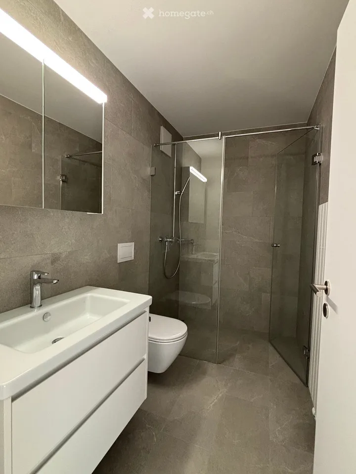 Charmante 3.5-Zimmer-Dachwohnung in Wädenswil – modern renoviert und sonnig gelegen