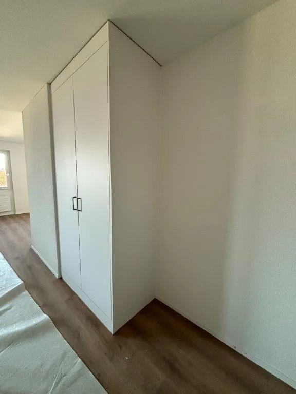 Charmante 1.5-Zimmer-Wohnung mit Balkon und Seenähe in Wädenswil