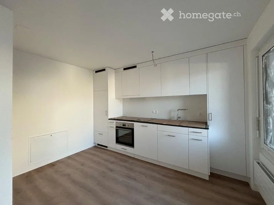 Charmante 1.5-Zimmer-Wohnung mit Balkon und Seenähe in Wädenswil