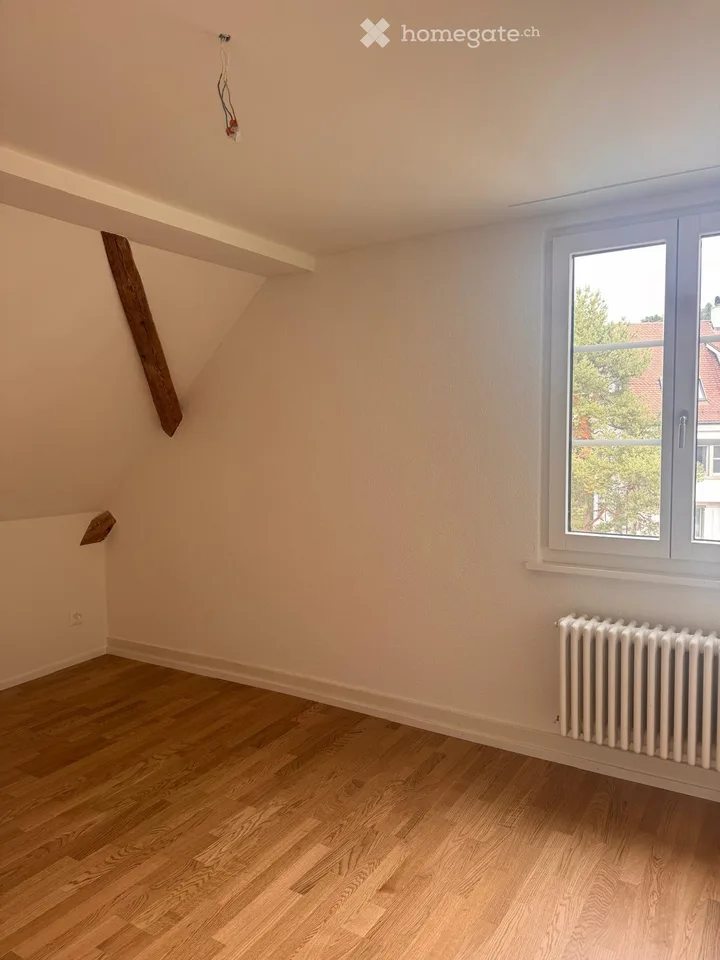 Charmante 5.5-Zimmer-Dachwohnung mit Seesicht