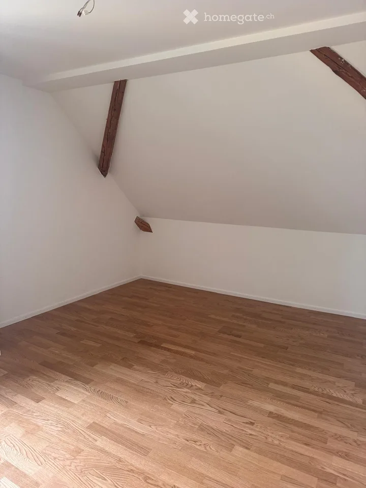 Charmante 5.5-Zimmer-Dachwohnung mit Seesicht