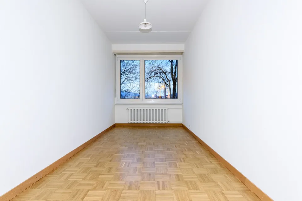 Duplex-Wohnung in Petit-Lancy!