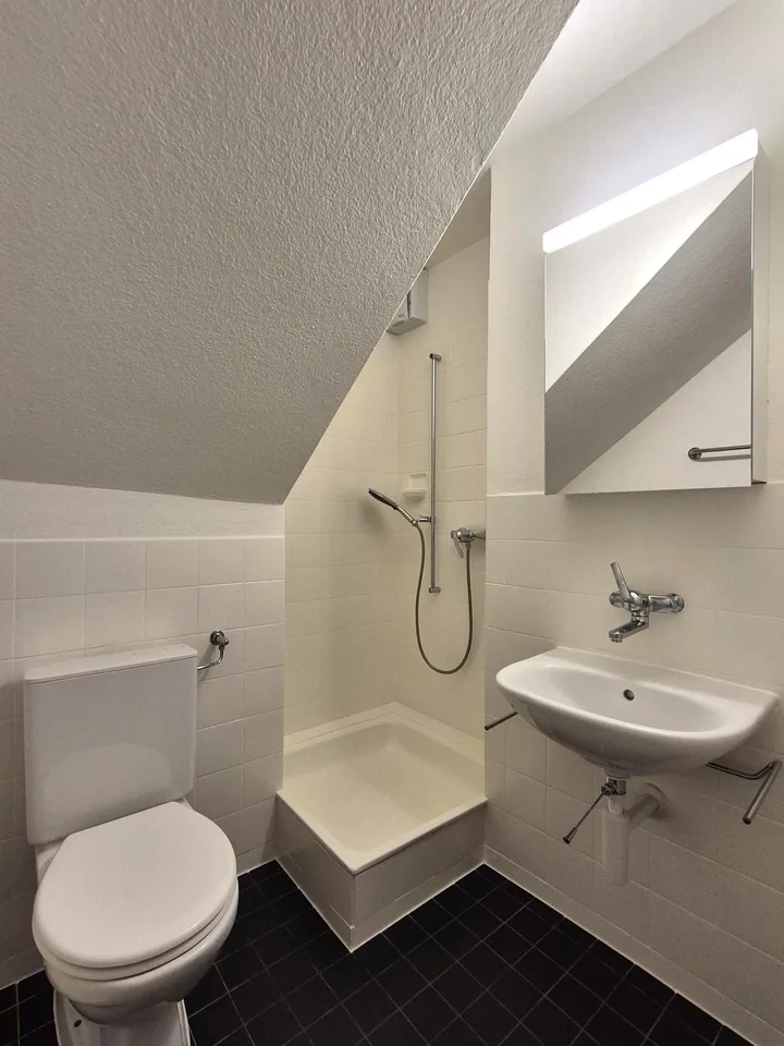 1 Zimmer Wohnung, 4102 Binningen