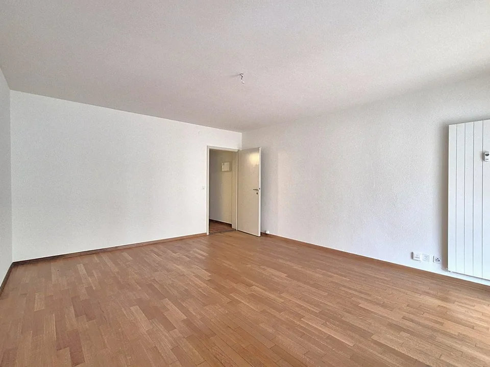 1 Zimmer Wohnung, 4102 Binningen