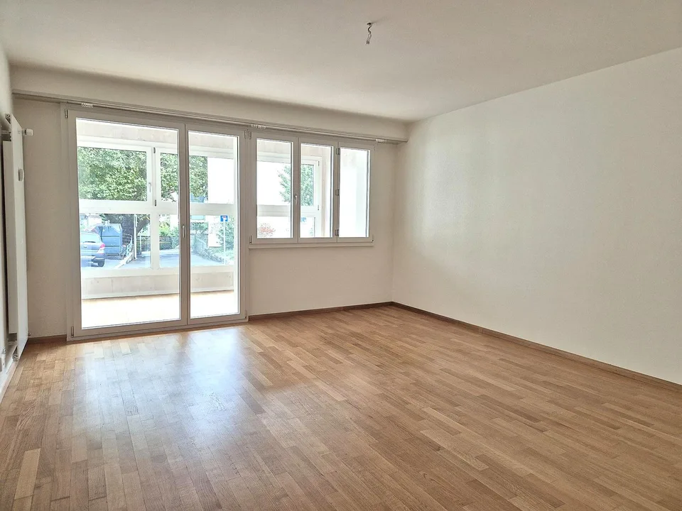 1 Zimmer Wohnung, 4102 Binningen