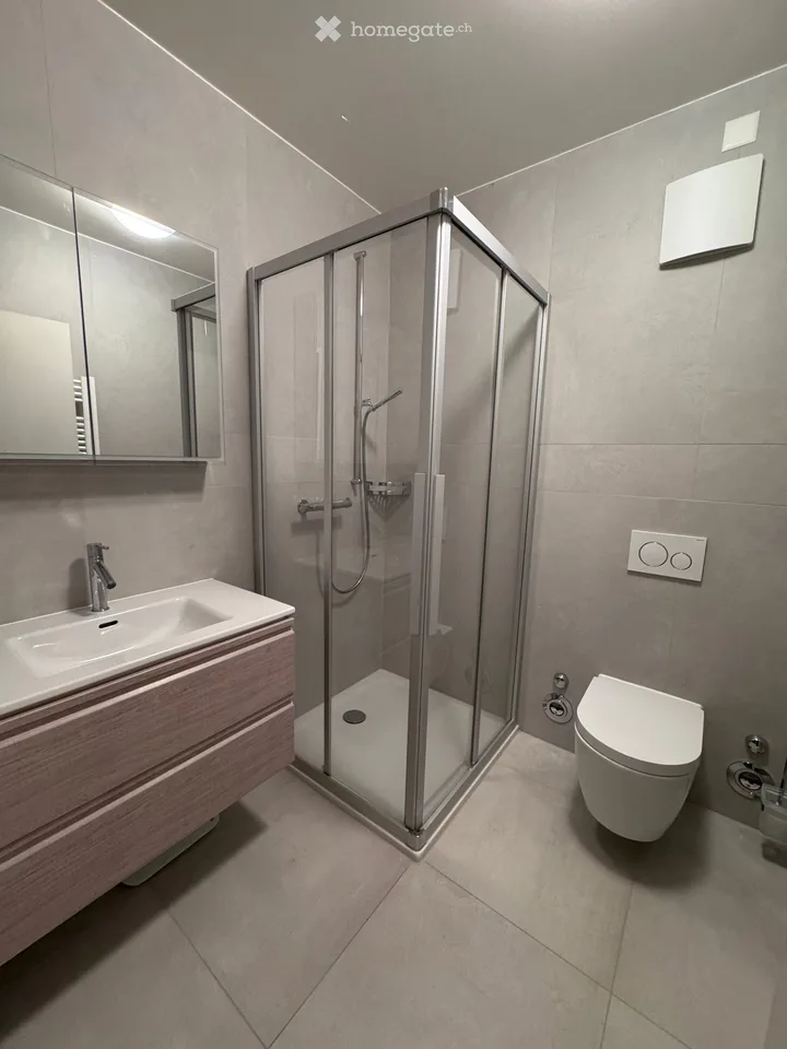 Geräumige 6,5-Zimmer-Erdgeschosswohnung mit privatem Garten und Terrasse