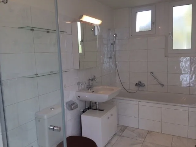 Grosszügige Maisonette-Wohnung mit Sitzplatz im Grünen – Foto 2 von 11