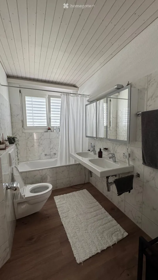 Charming 3.5-room attic apartment in Inwil