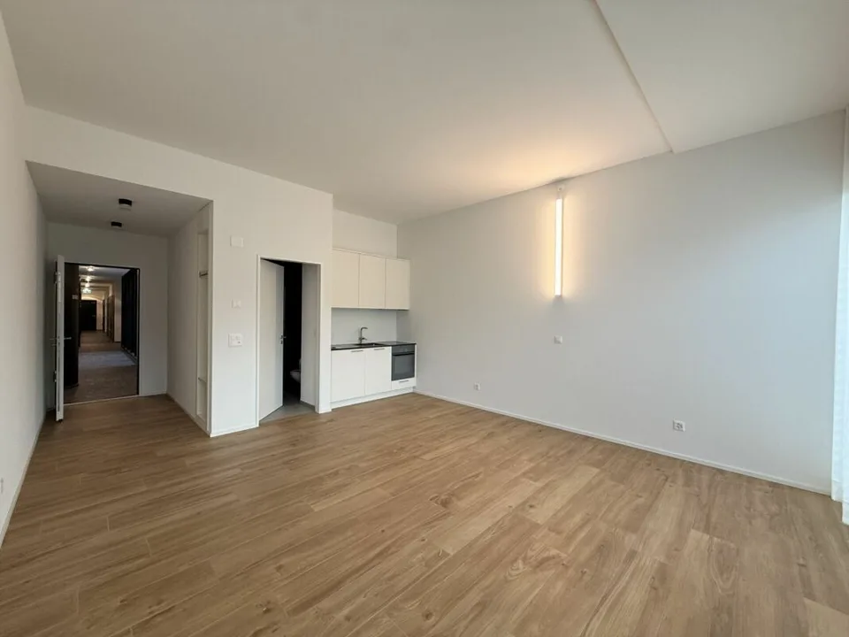 Loft studio with 33m² in B50 - Living and working in the center of Buchs