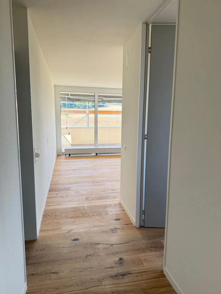 Neu sanierte 2.5-Zimmer-Wohnung mit schöner Aussicht