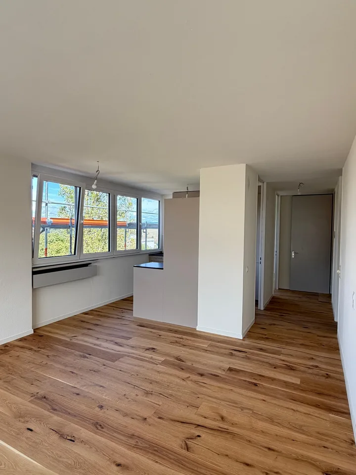 Neu sanierte 2.5-Zimmer-Wohnung mit schöner Aussicht