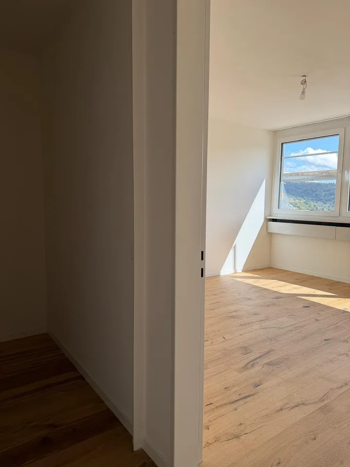 Neu sanierte 3.5-Zimmer-Wohnung mit schöner Aussicht