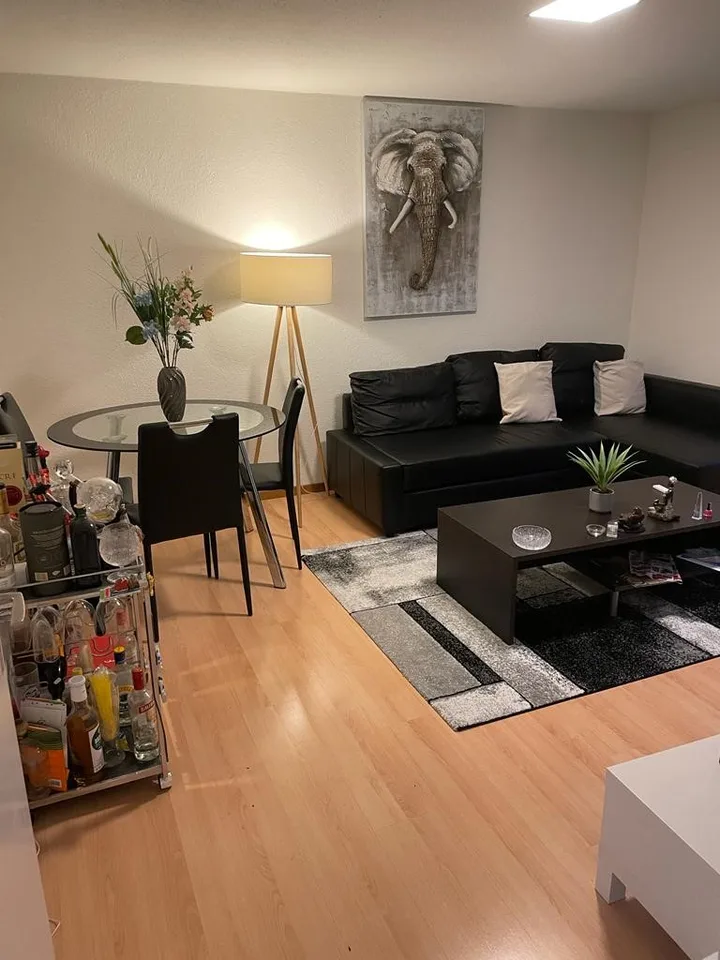 Cozy 2-room apartment on the ground floor in Näfels / LIMITED UNTIL 31.03.27