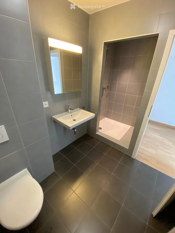 Moderne 5-Zimmer-Wohnung in Carouge