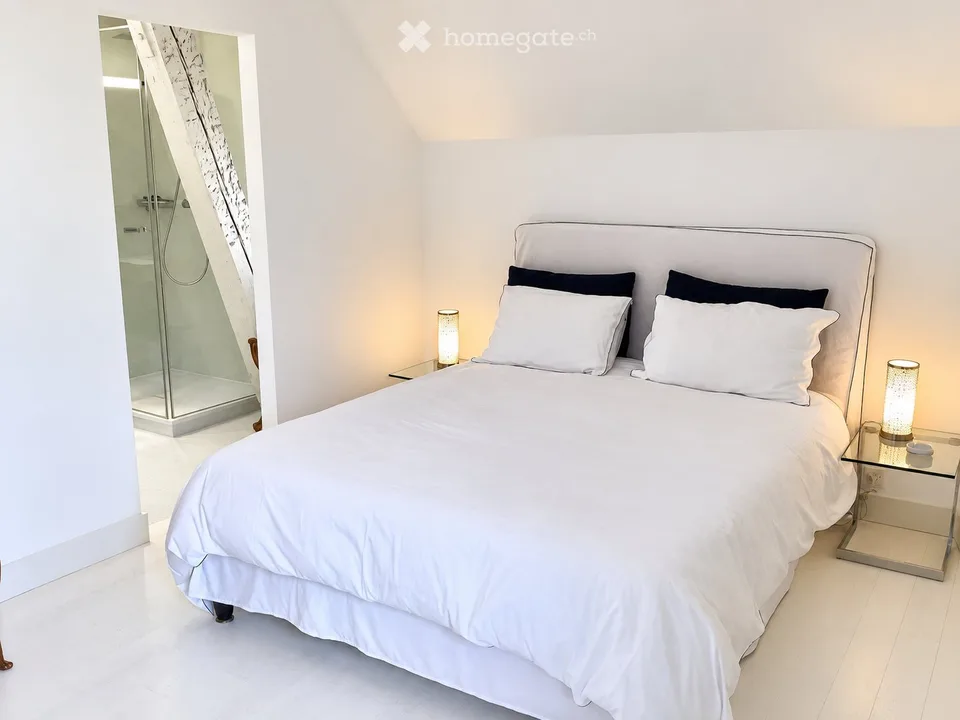 Rare Furnished Duplex Penthouse in Chêne-Bougeries