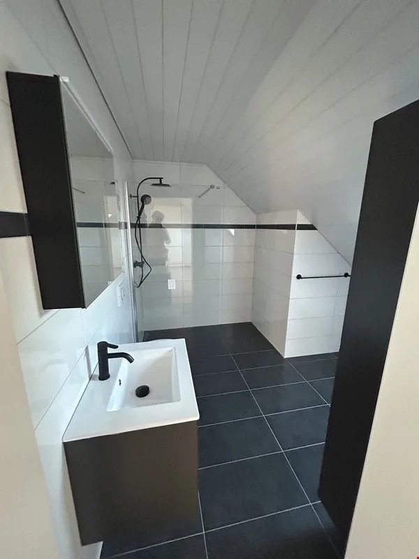 Très grand appartement de qualité 5,5 pièces en combles
