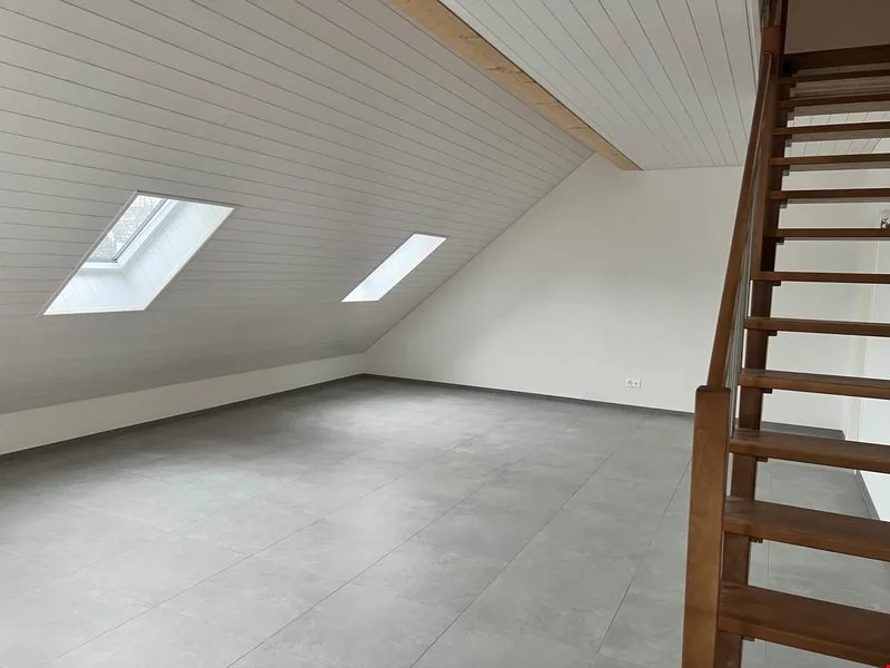 Très grand appartement de qualité 5,5 pièces en combles