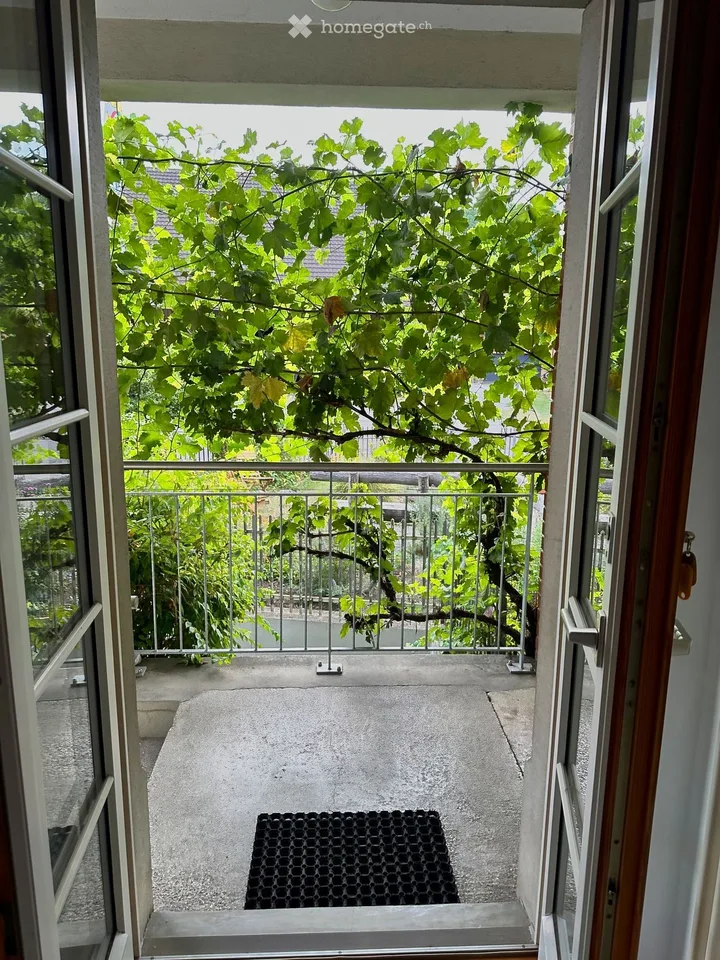 Delizioso appartamento di 2 camere al numero 24 di Dorfstrasse – disponibile immediatamente!
