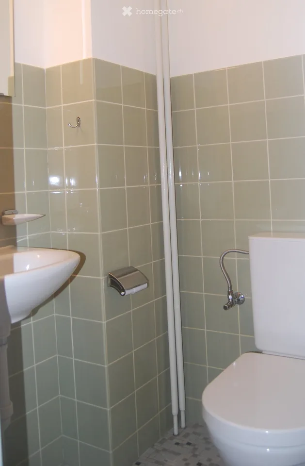 Helle 4.5-Zimmer-Wohnung im Erdgeschoss mit Balkon und Garage in Therwil