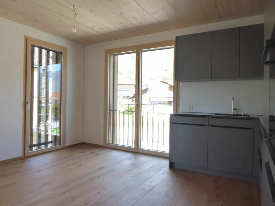 Brand new 2.5-room apartment in a sunny location