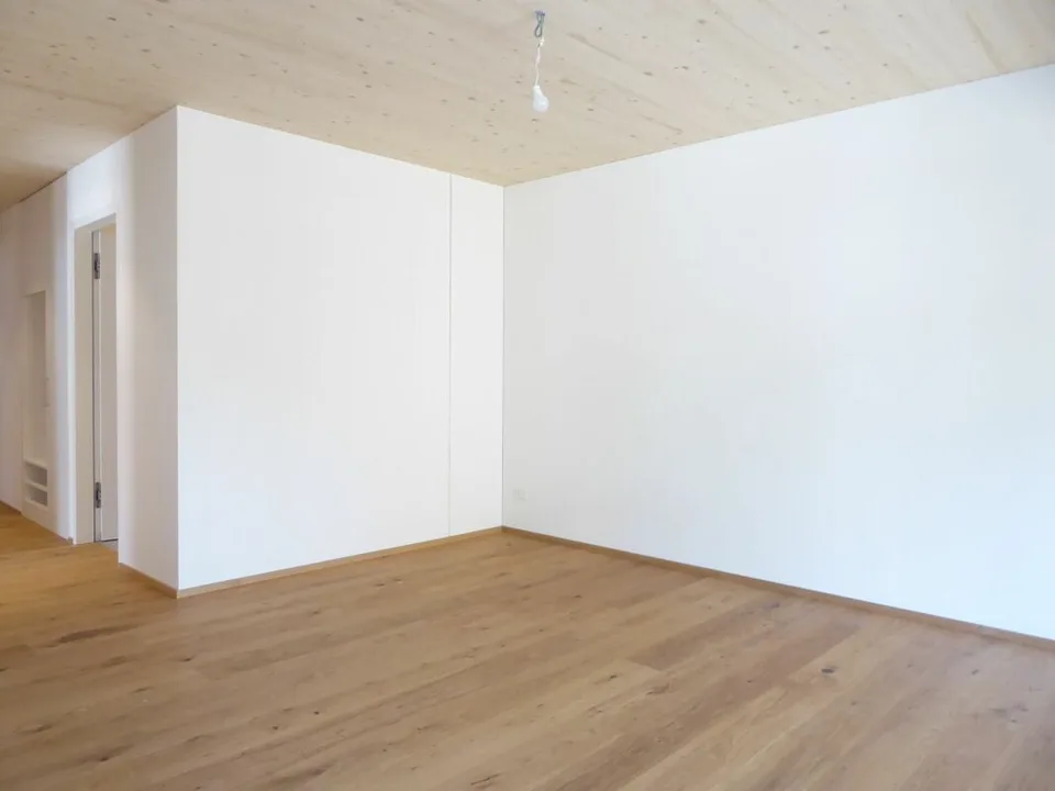 Brand new 2.5-room apartment in a sunny location