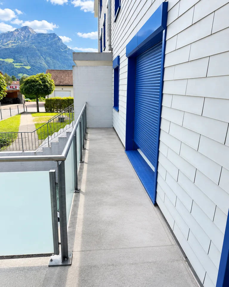Cozy 3-room apartment with balcony in Altdorf