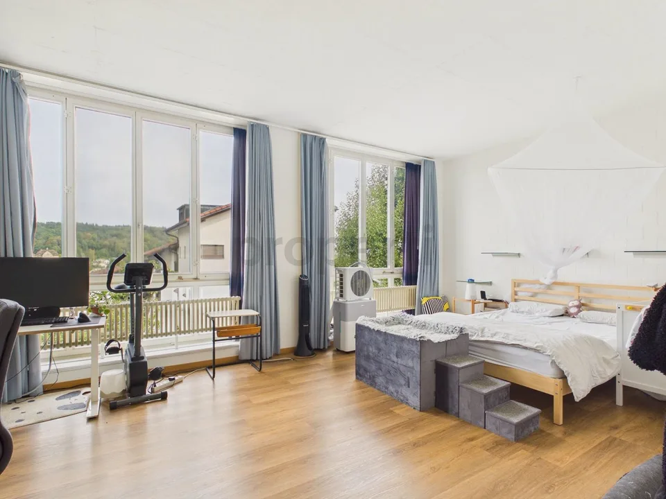 Vista panoramica, soffitti alti & cortile interno - La tua nuova dimora a Othmarsingen