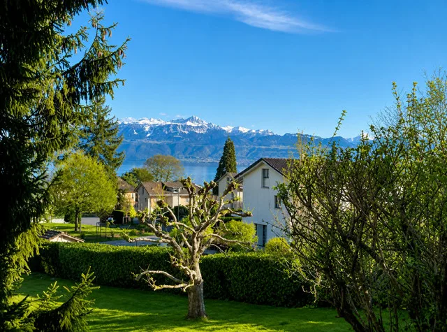 Magnifique 2 pièce meublé avec terrasse de 57m2 à deux min du lac/St-Sulpice VD