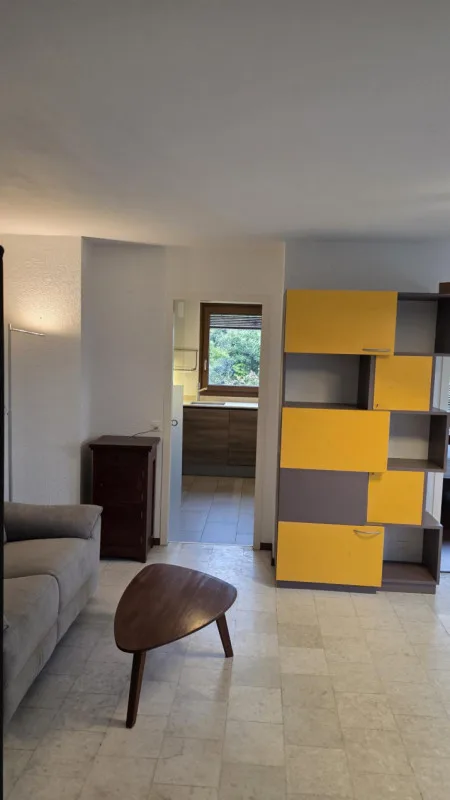 Magnifique 2 pièce meublé avec terrasse de 57m2 à deux min du lac/St-Sulpice VD