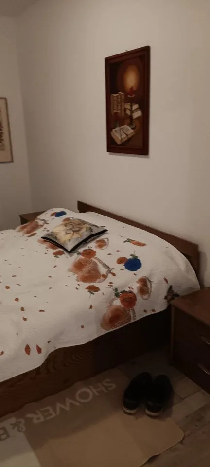 Furnished Apartment with Parking - Wettingen