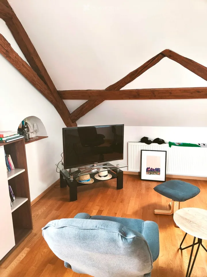 Charming 2.5-room attic apartment in Döttingen