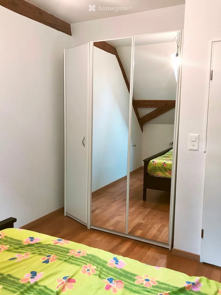 Charming 2.5-room attic apartment in Döttingen
