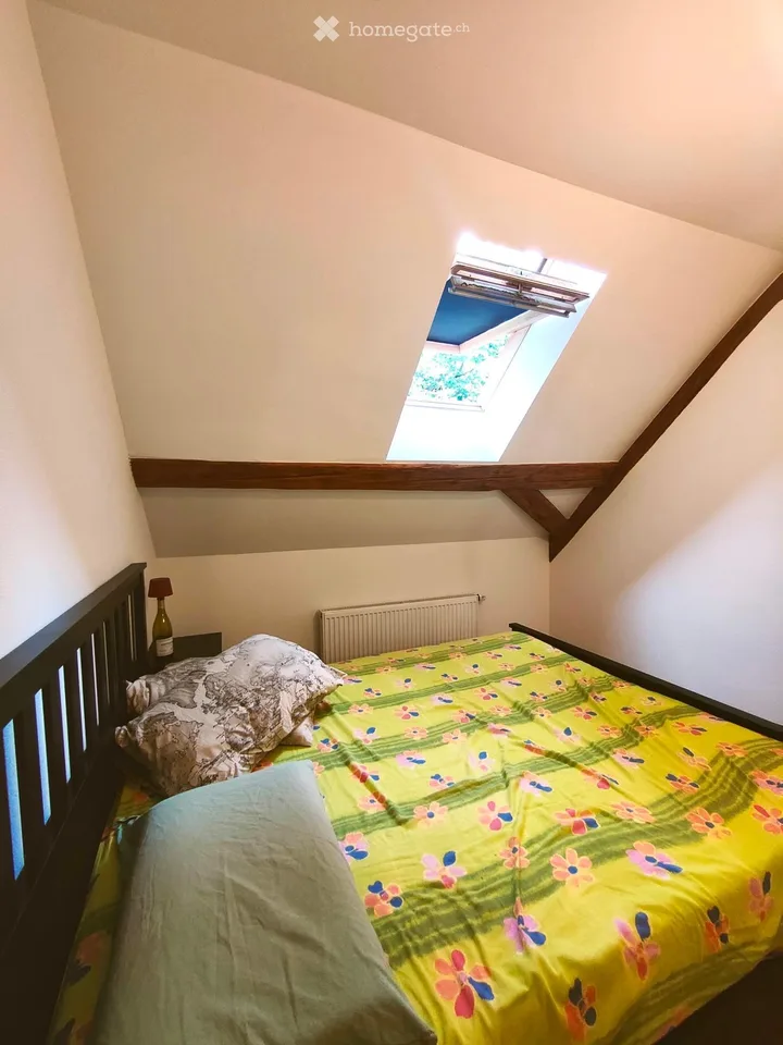 Charming 2.5-room attic apartment in Döttingen