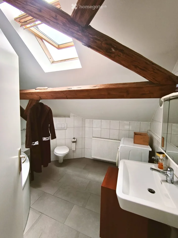 Charming 2.5-room attic apartment in Döttingen