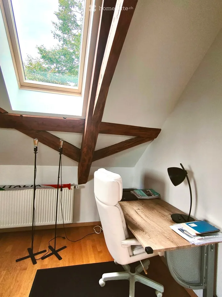 Charming 2.5-room attic apartment in Döttingen