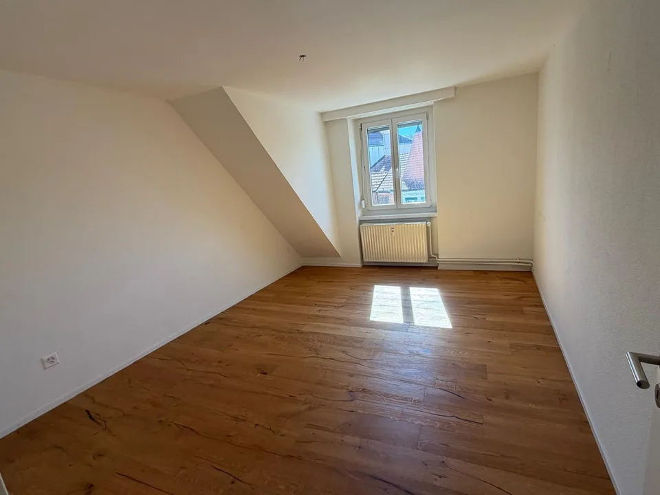 Attractive 3.5-room apartment with additional attic apartment