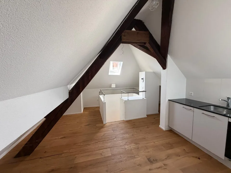 Attractive 3.5-room apartment with additional attic apartment