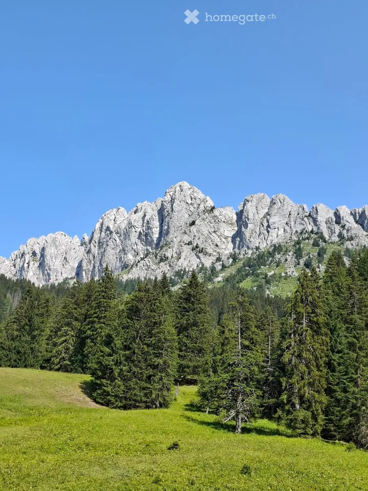 Charmant chalet à louer Ablaendschen