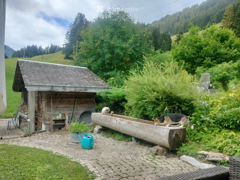 Charmant chalet à louer Ablaendschen