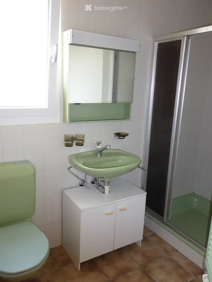 Gemütliche 2-Zimmer-Wohnung im Erdgeschoss in Moosleerau