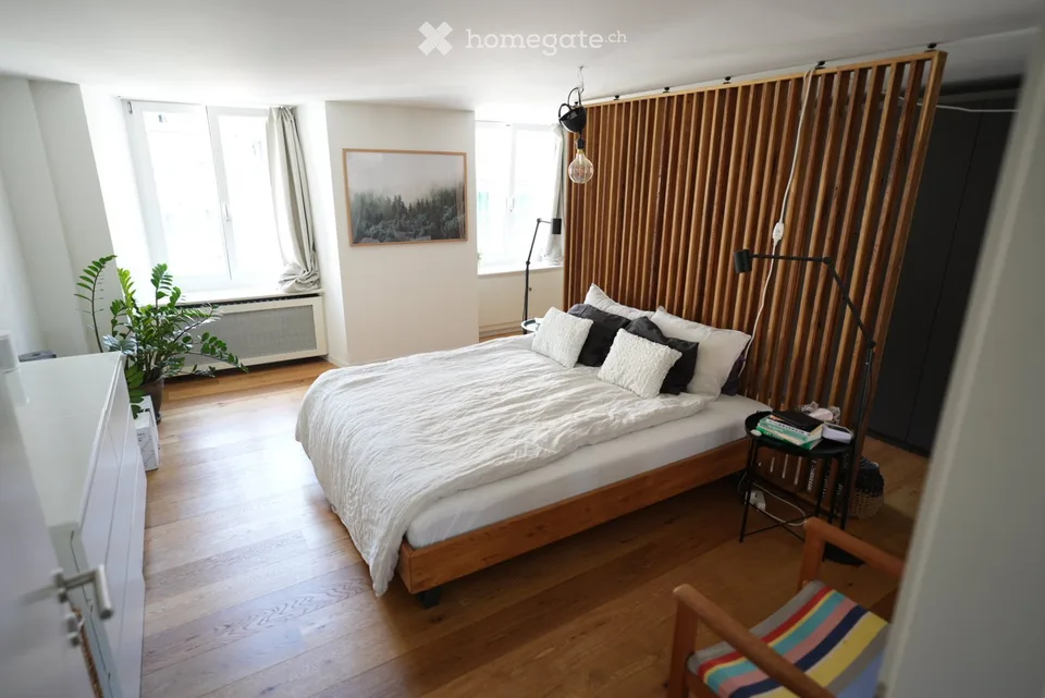 Beautiful apartment in the Rapperswil old town